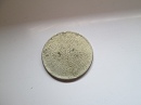10 fillres peremezett nyers lapka 1892 s az 1916 kztti idszakbl.